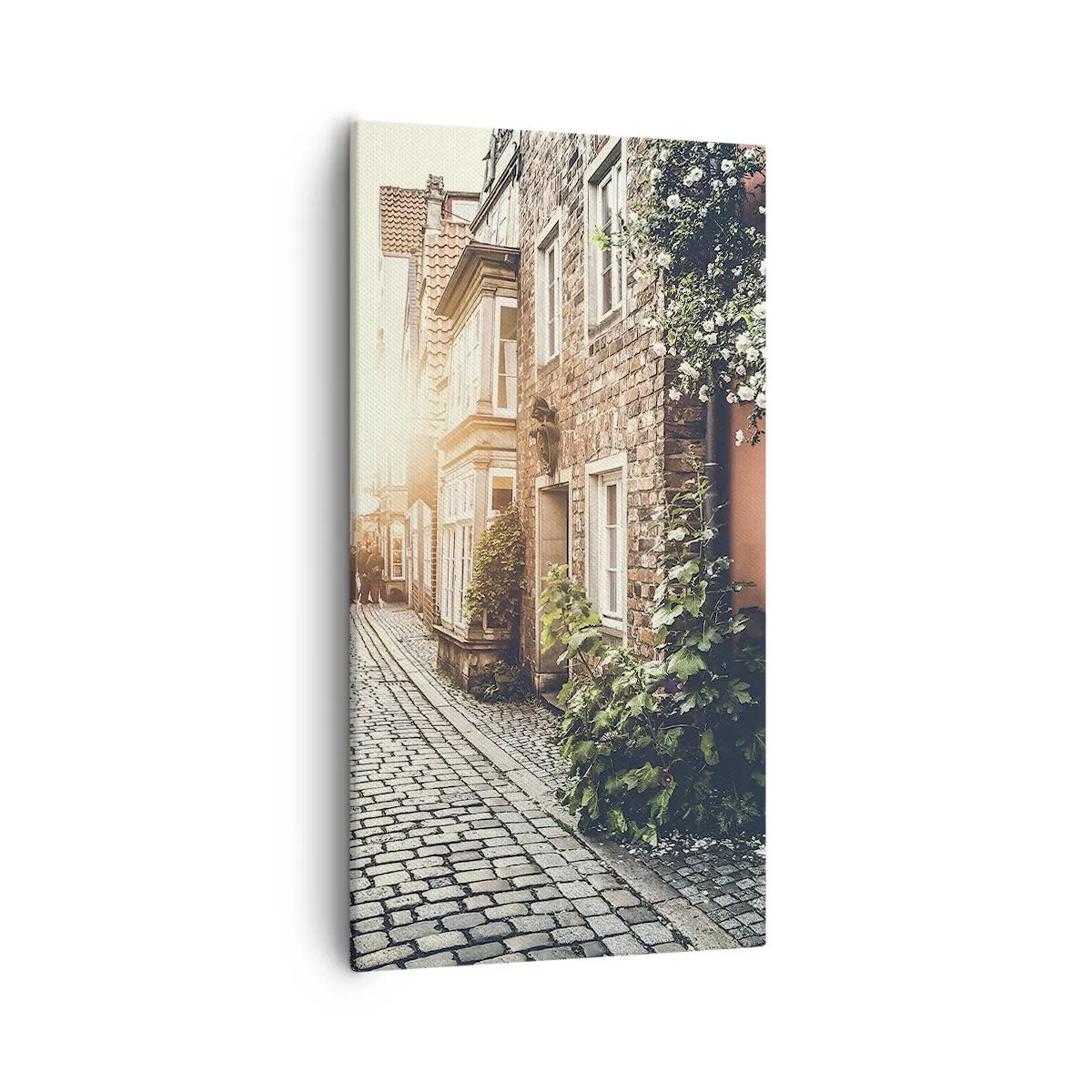 Lærredstryk - Billede på lærred - En rosengyde i et lyserødt skær - 55x100 cm