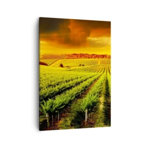 Lærredstryk - Billede på lærred - Under den australske sol - 50x70 cm