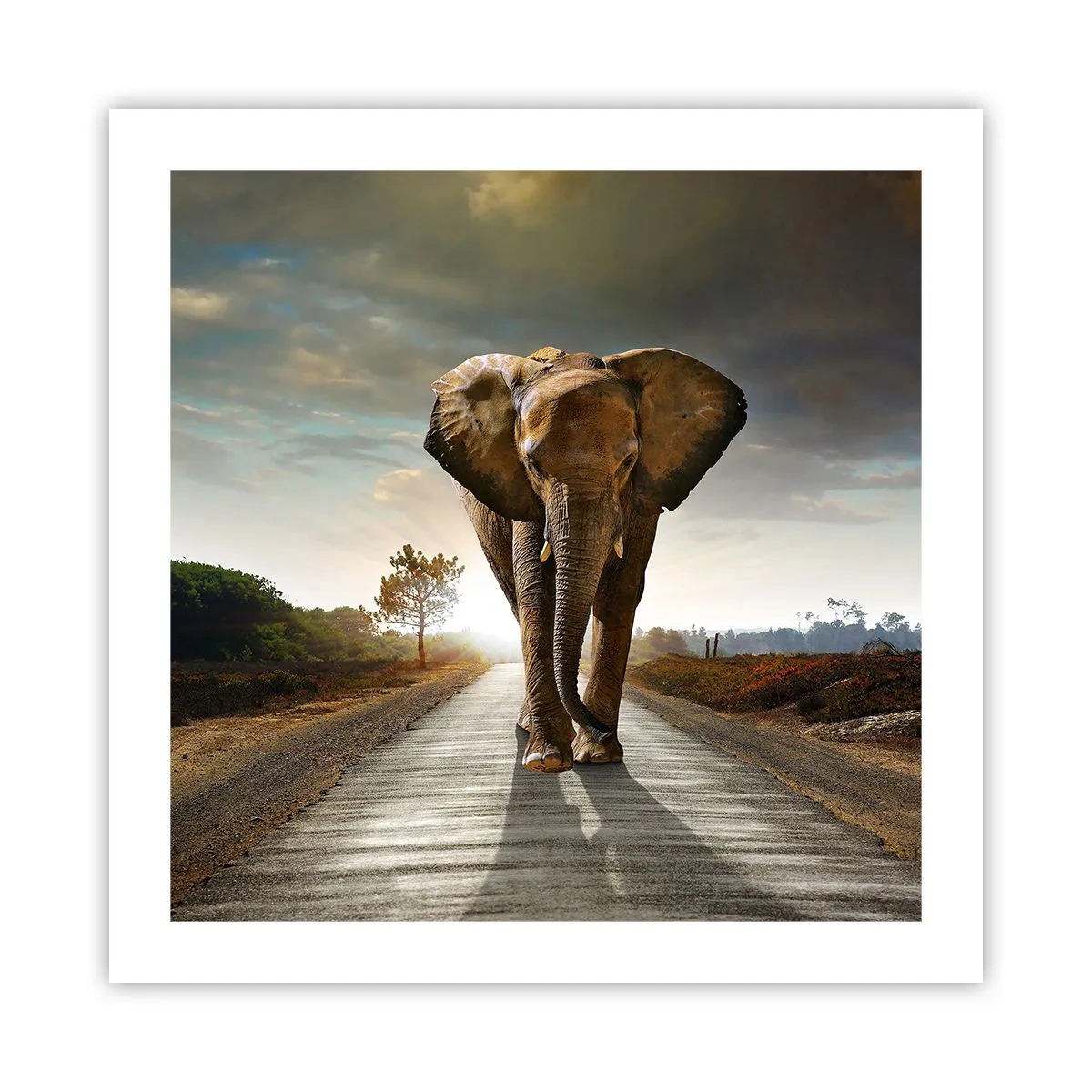 Plakat - Og slet ikke i en porcelænsbutik - 50x50 cm