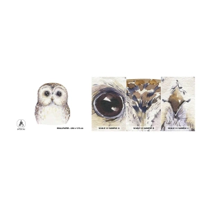 Prøve Fototapet Selvklæbende Deluxe Sticker - Se mig i øjnene - Ugle, Fugl, Grafik - 100x30 cm