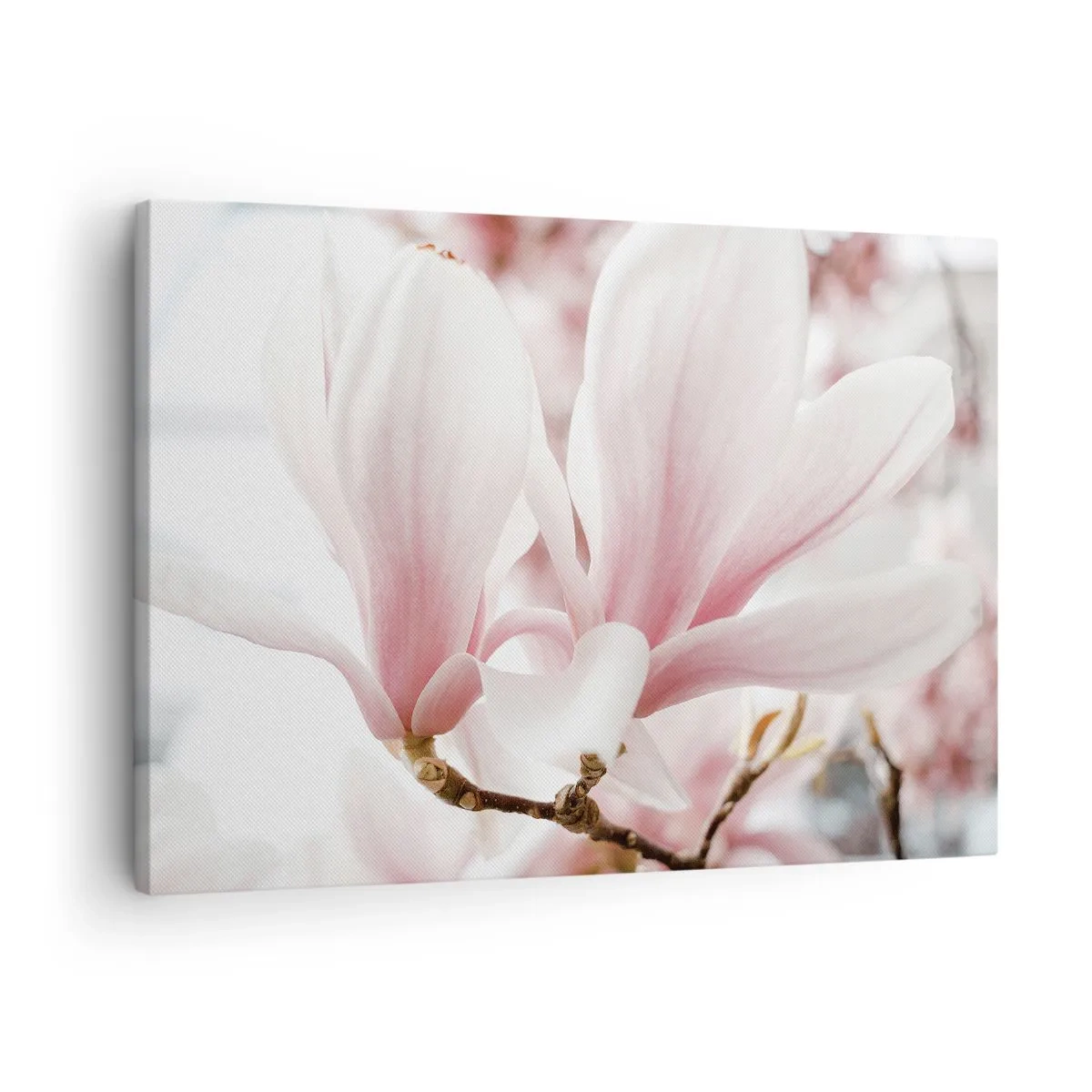Lærredstryk - Billede på lærred - Delikate magnoliablomster i pastelfarver - 70x50cm - Ømhedens umådelighed - Moderne vægdekoration til stue og soveværelse ARTTOR