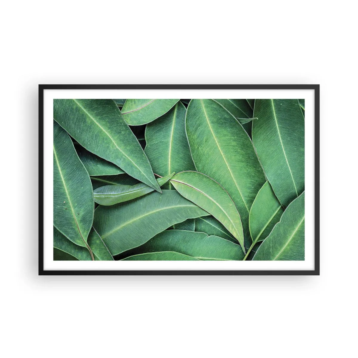 Plakat i sort ramme - Saftig og frisk - 91x61 cm