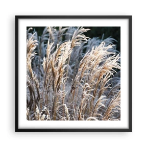 Plakat i sort ramme - Pyntet med frost - 50x50 cm