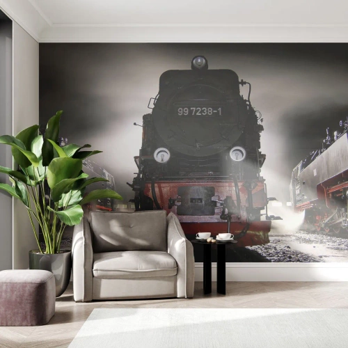 Fototapet Standard Eco - Han står og gisper, han gisper og puster. - Damplokomotiv, Jernbanestation, Automotive - 350x256 cm