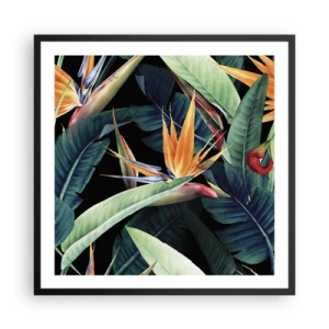 Plakat i sort ramme - Flammeblomster i troperne - 60x60 cm