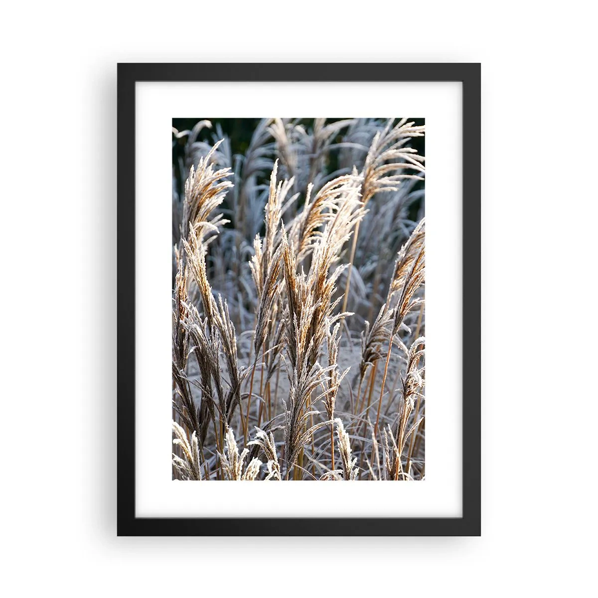 Plakat i sort ramme - Pyntet med frost - 30x40 cm