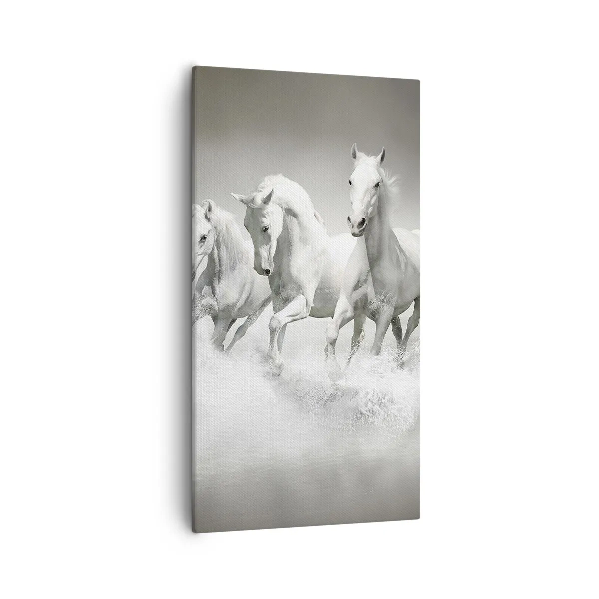 Lærredstryk - Billede på lærred - Hvid galskab - 55x100 cm