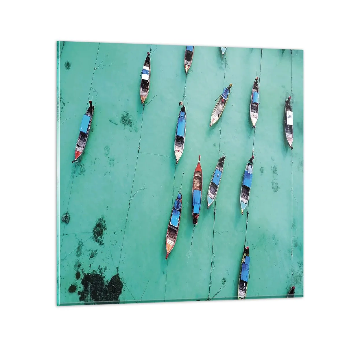 Billede på glas - I glædelig forventning - 40x40 cm