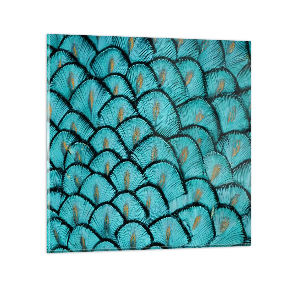 Billede på glas - Den store fjer-galla - 30x30 cm