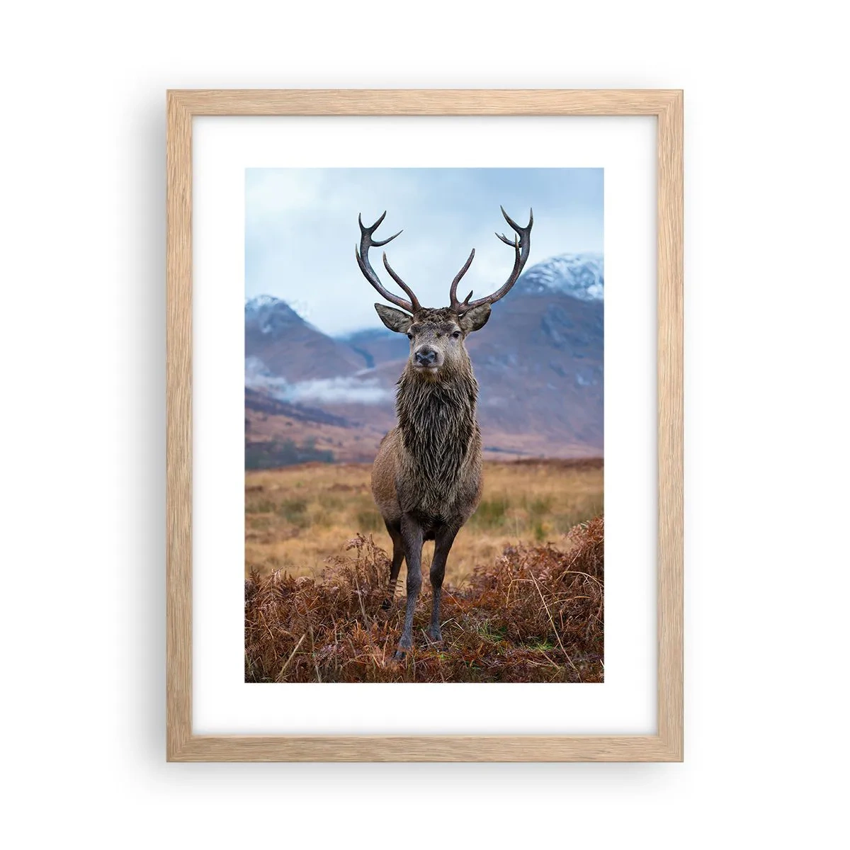 Plakat i ramme af lyst egetræ - På deres egen jord - 30x40 cm