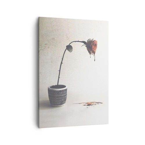 Lærredstryk - Billede på lærred - Rosa dolorosa - 50x70 cm