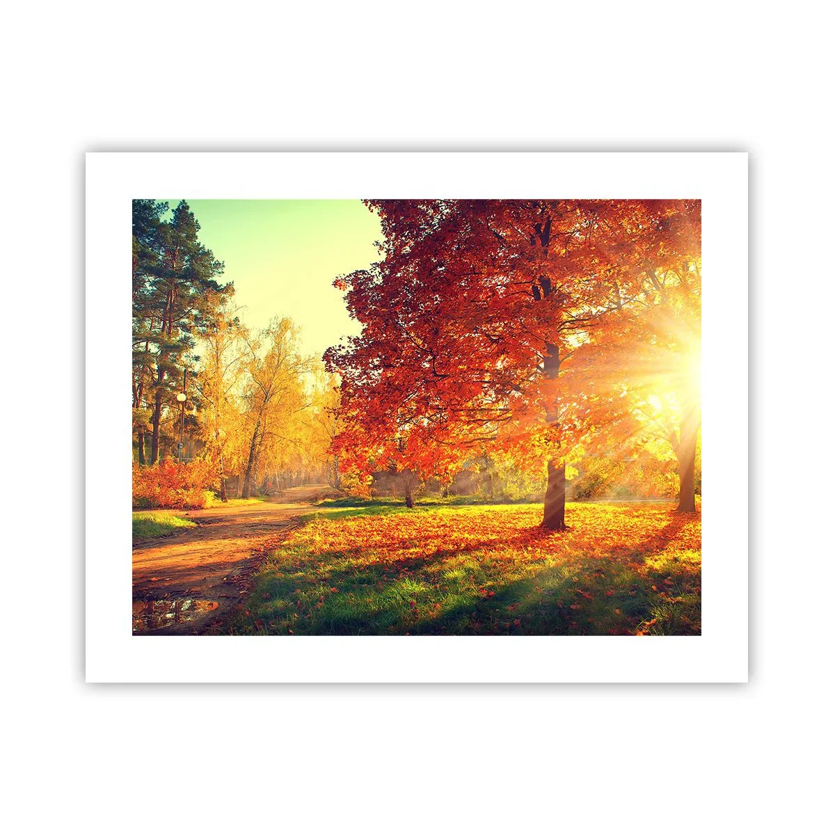 Plakat - Rød er smuk - 50x40 cm