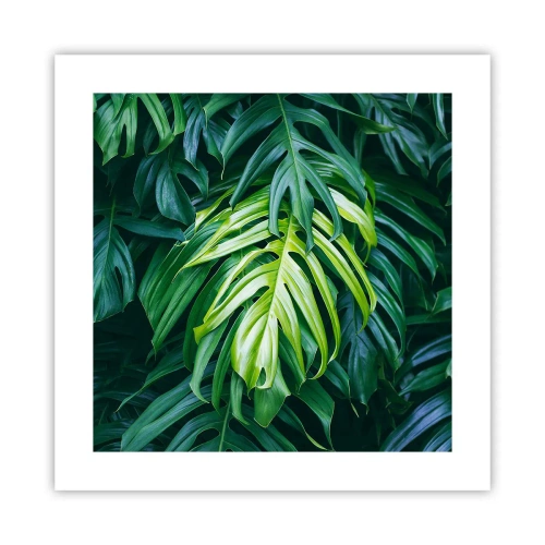 Plakat - Fordyb dig i friskhed - 40x40 cm