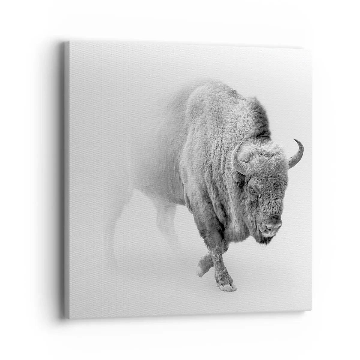 Lærredstryk - Billede på lærred - Kongen af prærien - 40x40 cm