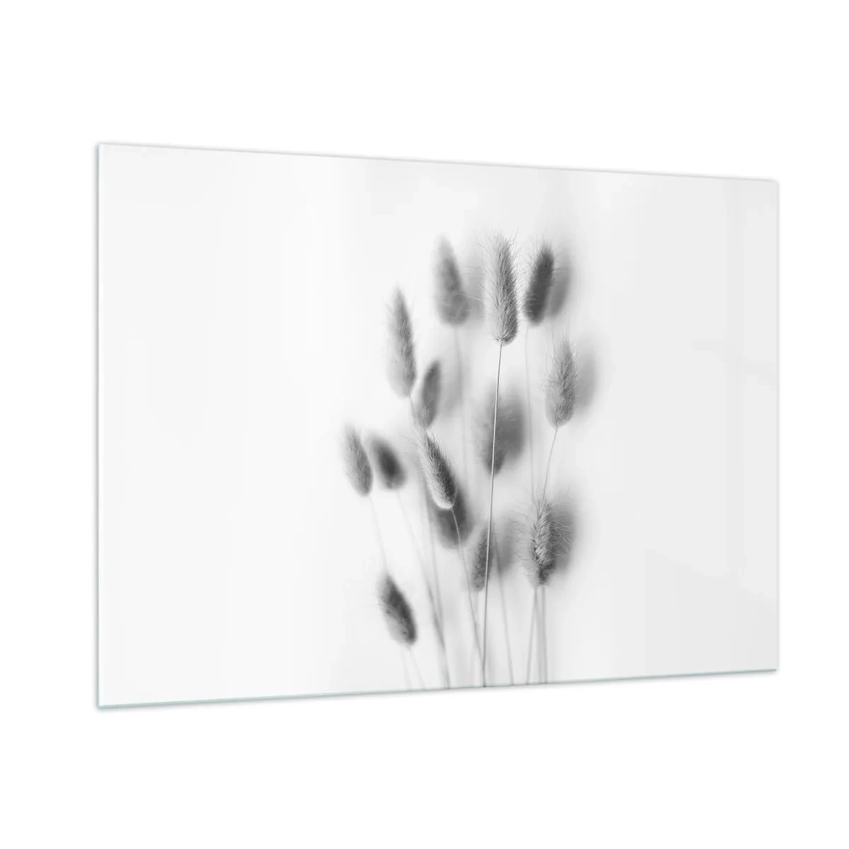 Billede på glas - Dens bløde græs - 100x70 cm