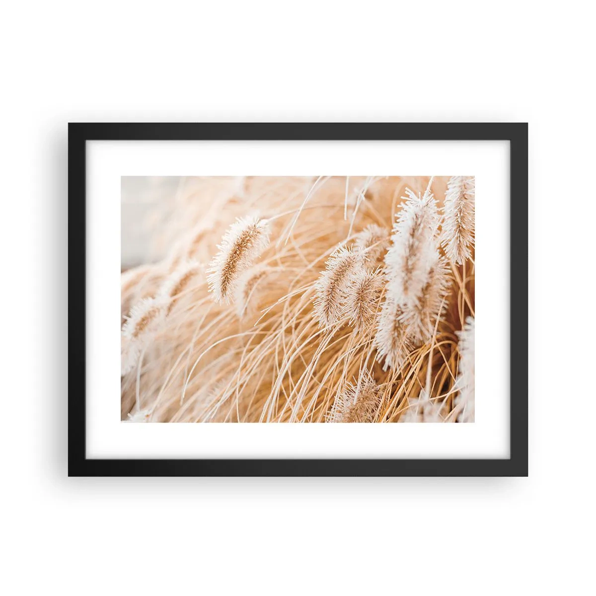 Plakat i sort ramme - Gyldent susen af græsser - 40x30 cm