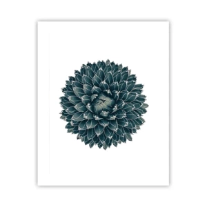 Plakat - Ørkenstjerne - 40x50 cm