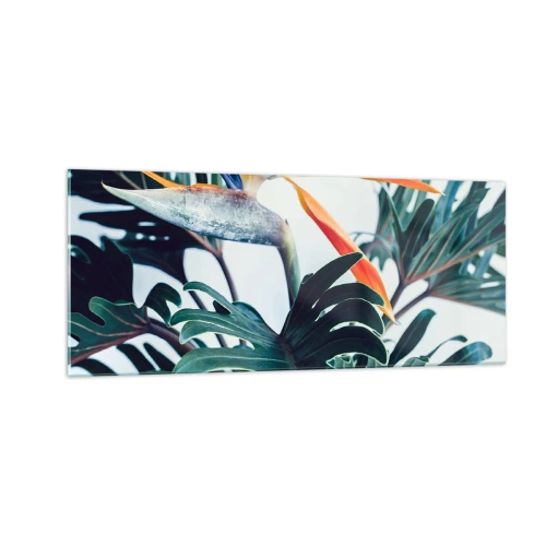 Billede på glas - Fuglebur - 100x40 cm