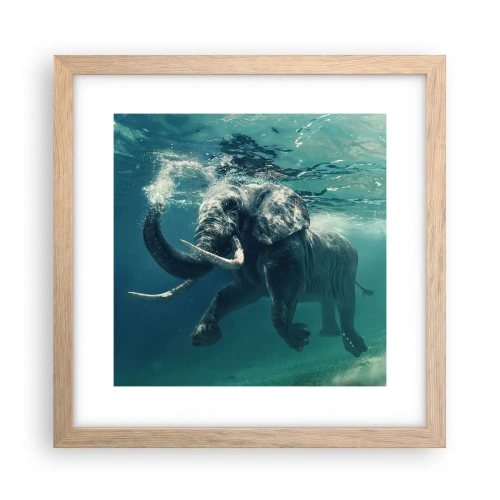 Plakat i ramme af lyst egetræ - Alle kan lide at svømme - 30x30 cm