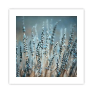 Plakat - Duftende plet - 40x40 cm