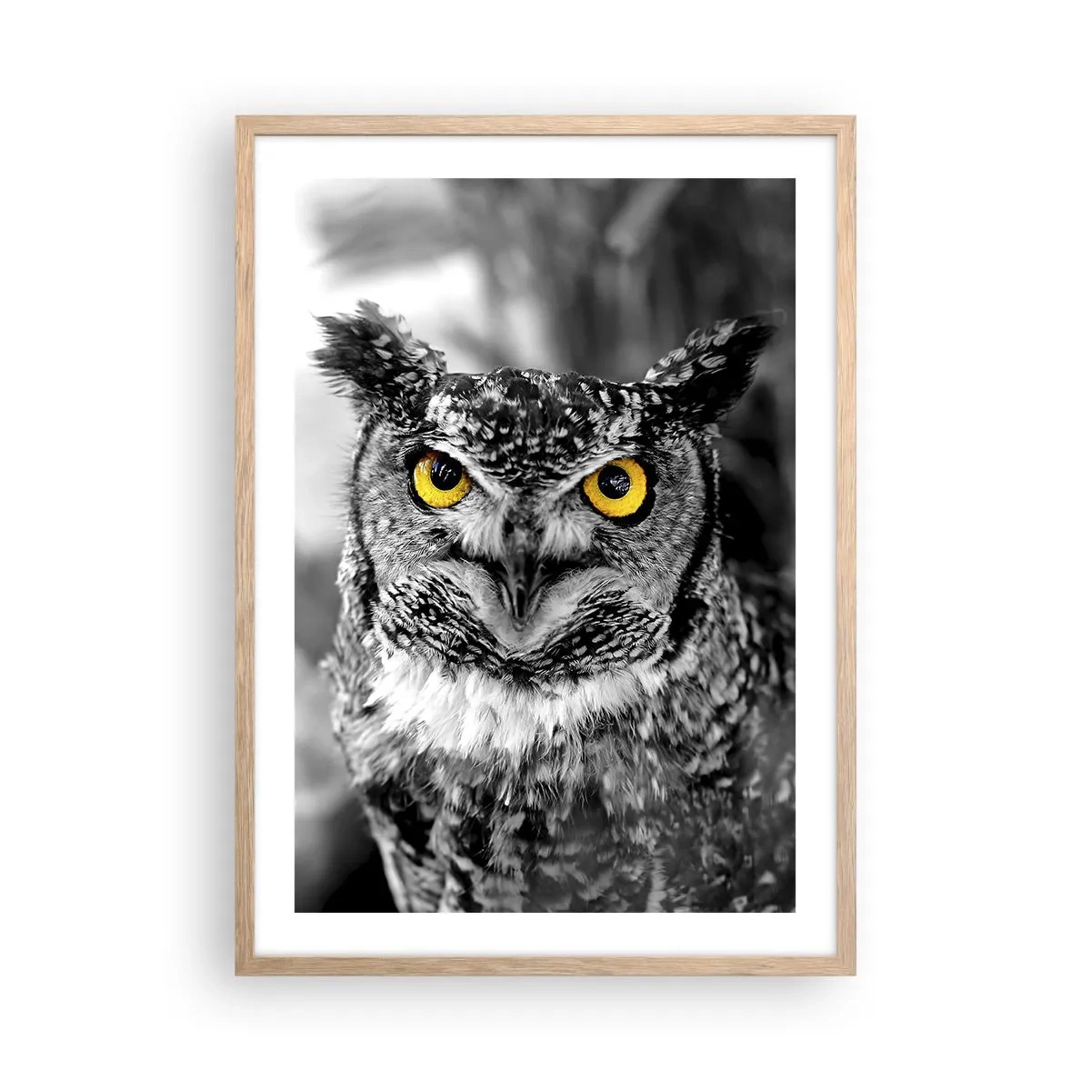 Plakat i ramme af lyst egetræ - Intet kan skjules - 50x70 cm