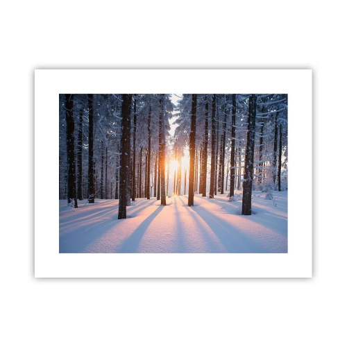 Plakat - Klart i sort og hvidt - 40x30 cm