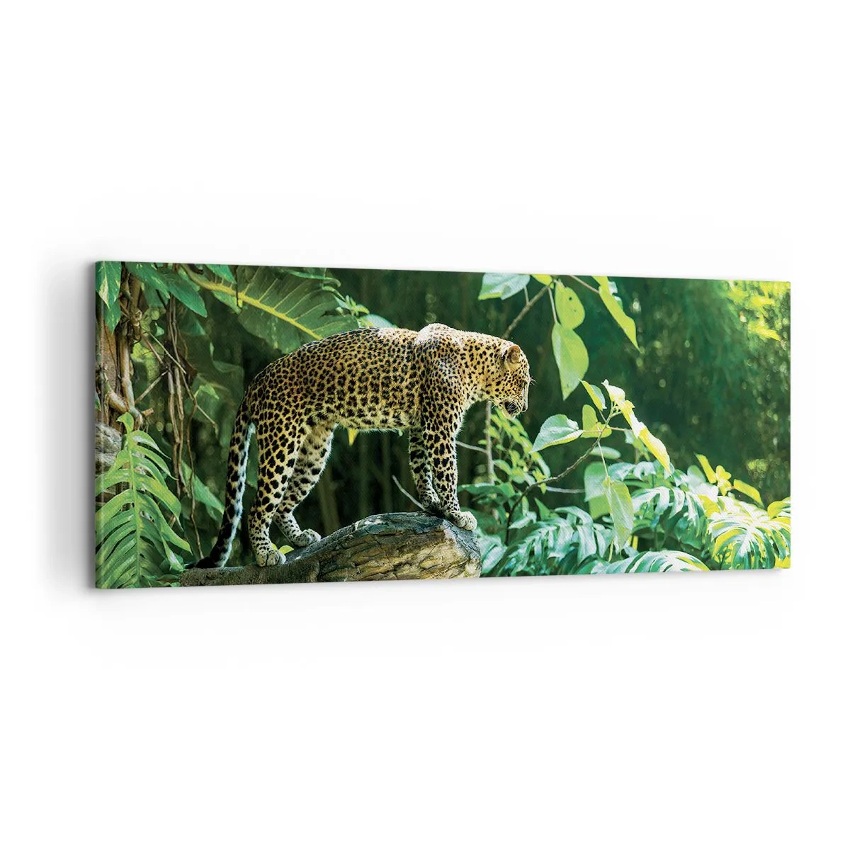 Lærredstryk - Billede på lærred - Til jagt? - 100x40 cm
