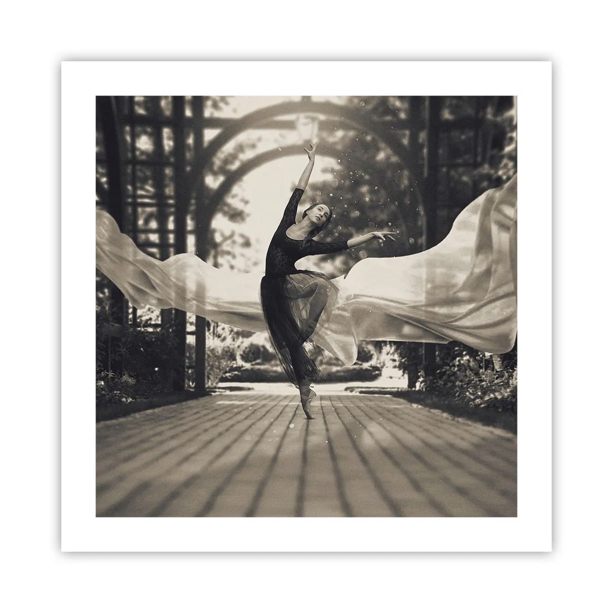 Plakat - Dans i haven - 50x50 cm