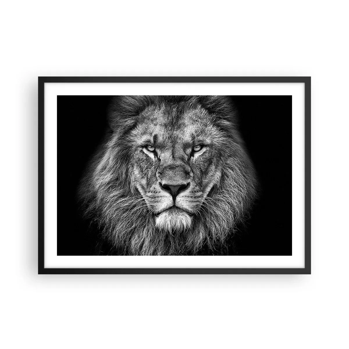 Plakat i sort ramme - I kroningsklædning - 70x50 cm
