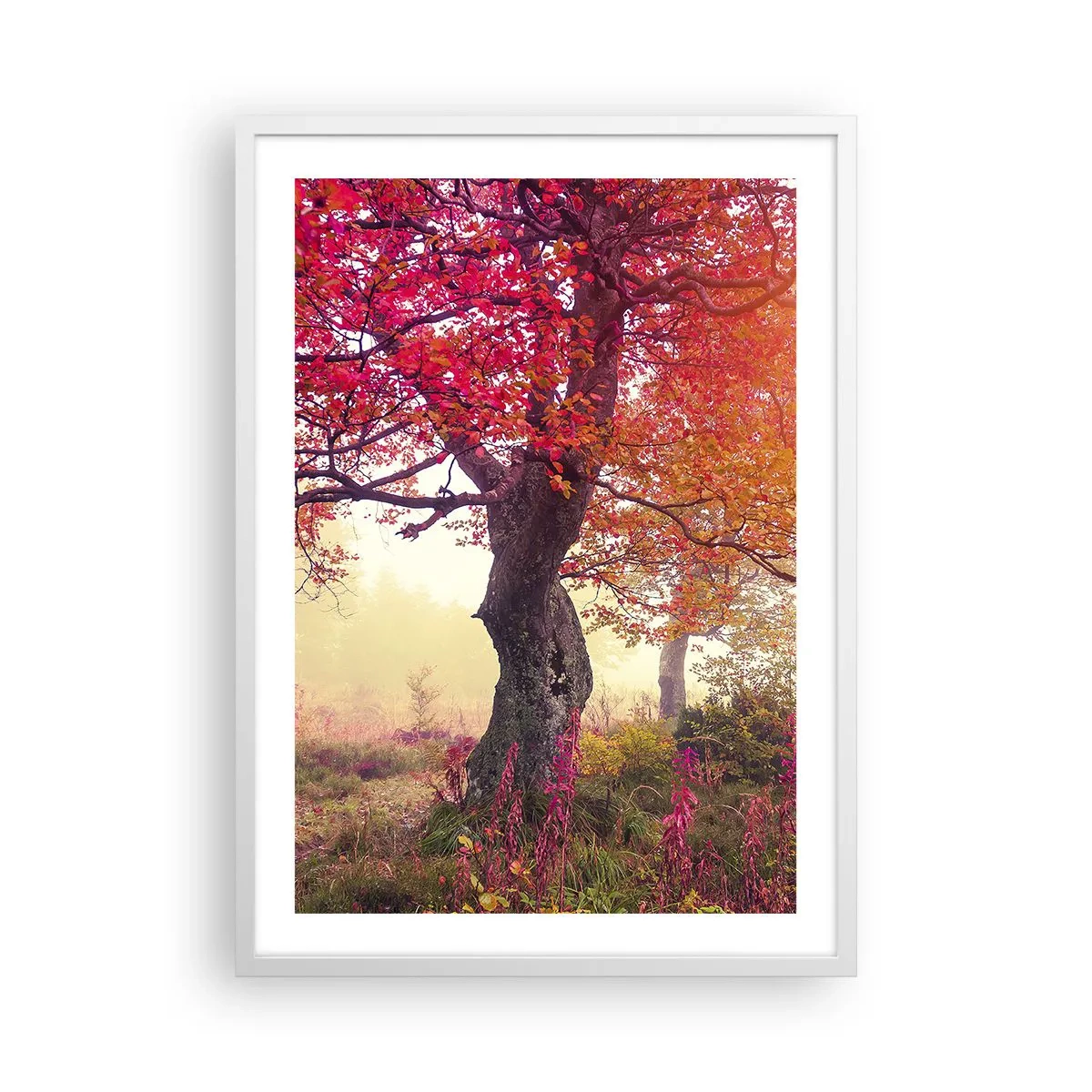 Plakat i hvid ramme - Et væld af blomstring - 50x70 cm