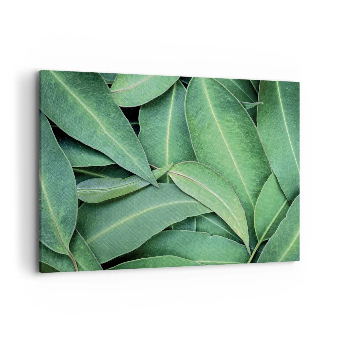 Lærredstryk - Billede på lærred - Saftig og frisk - 100x70 cm