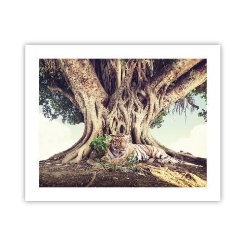 Plakat - Udsigt fra Første Mosebog - 50x40 cm