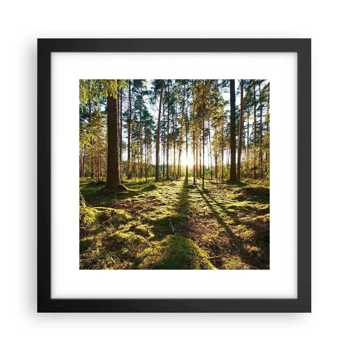 Plakat i sort ramme - ...Bag de syv skove - 30x30 cm