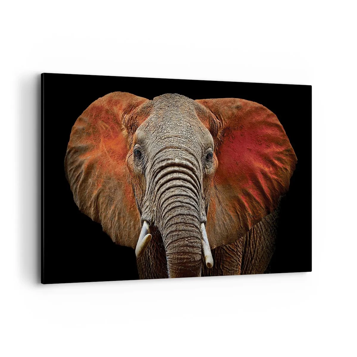 Lærredstryk - Billede på lærred - Jeg er vild, er du? - 120x80 cm