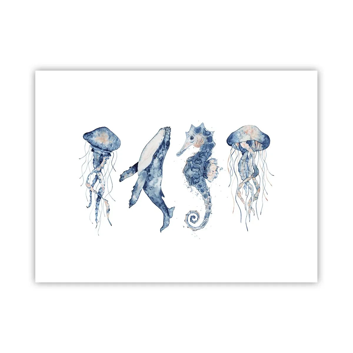 Plakat - Havets vidundere - 40x30 cm