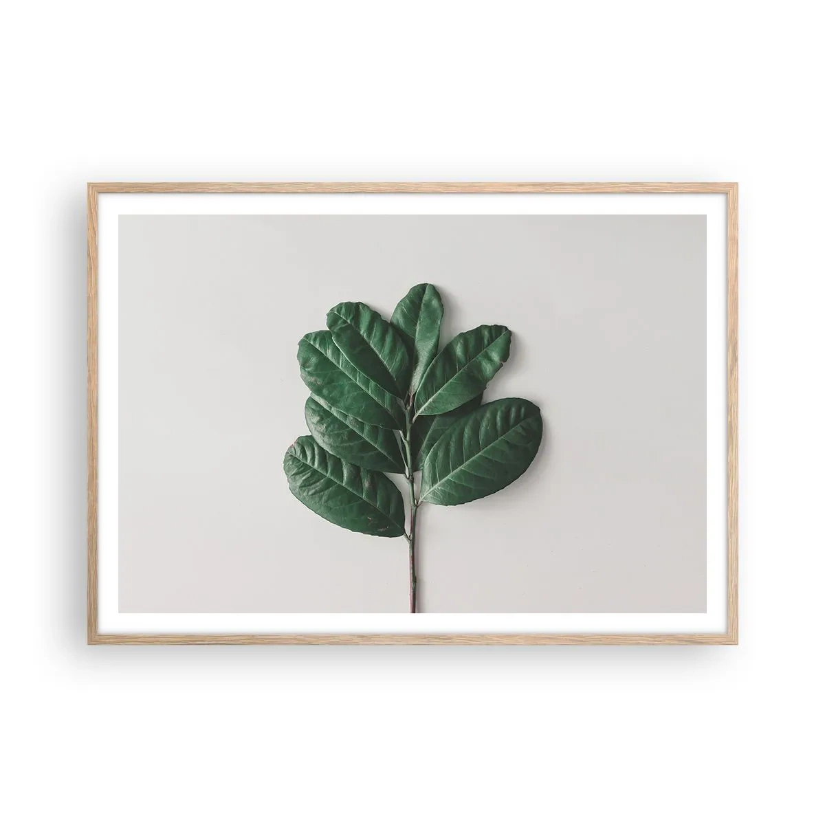 Plakat i ramme af lyst egetræ - Tegning af selve naturen - 100x70 cm