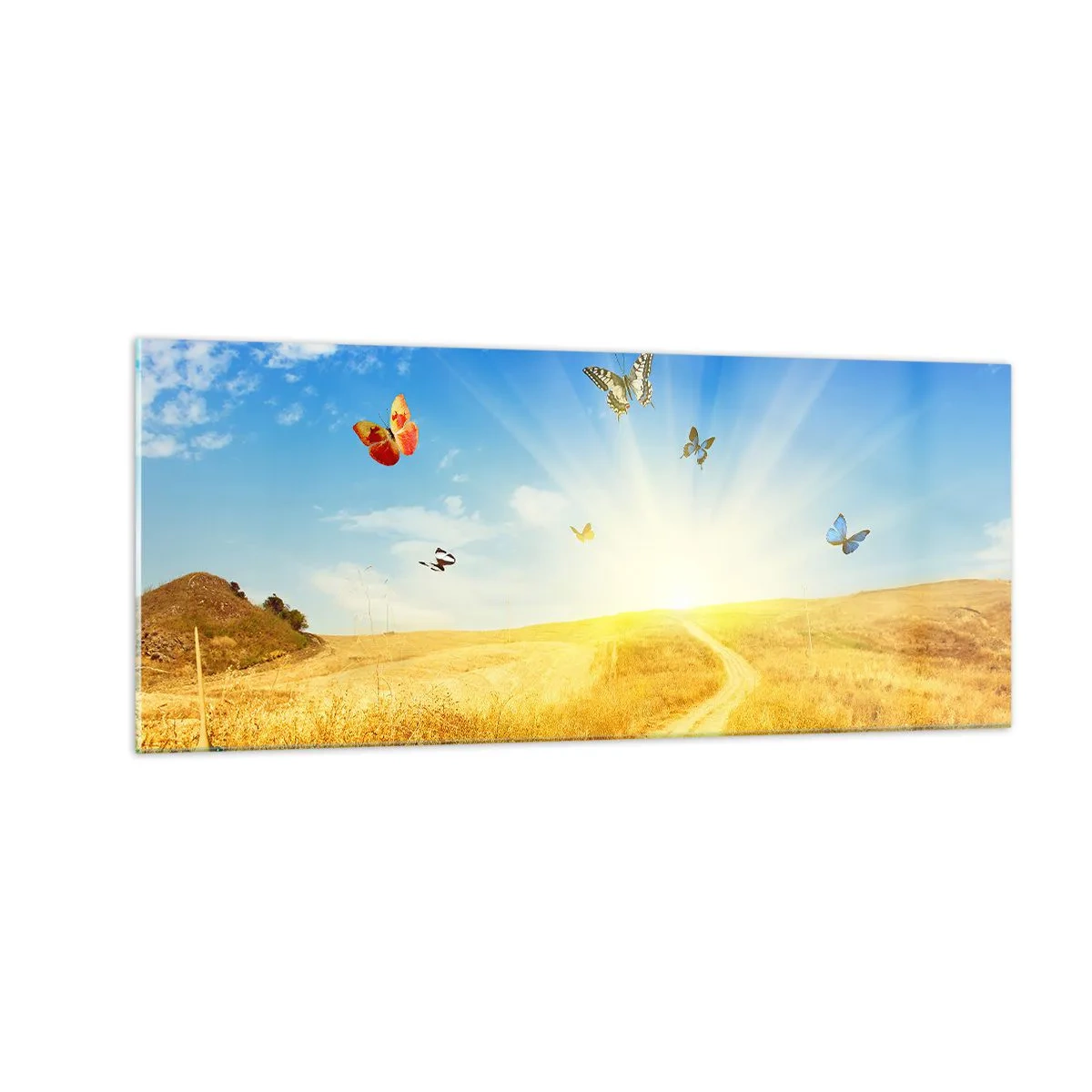 Billede på glas - Og hvordan kan man ikke elske sommeren? - 100x40 cm