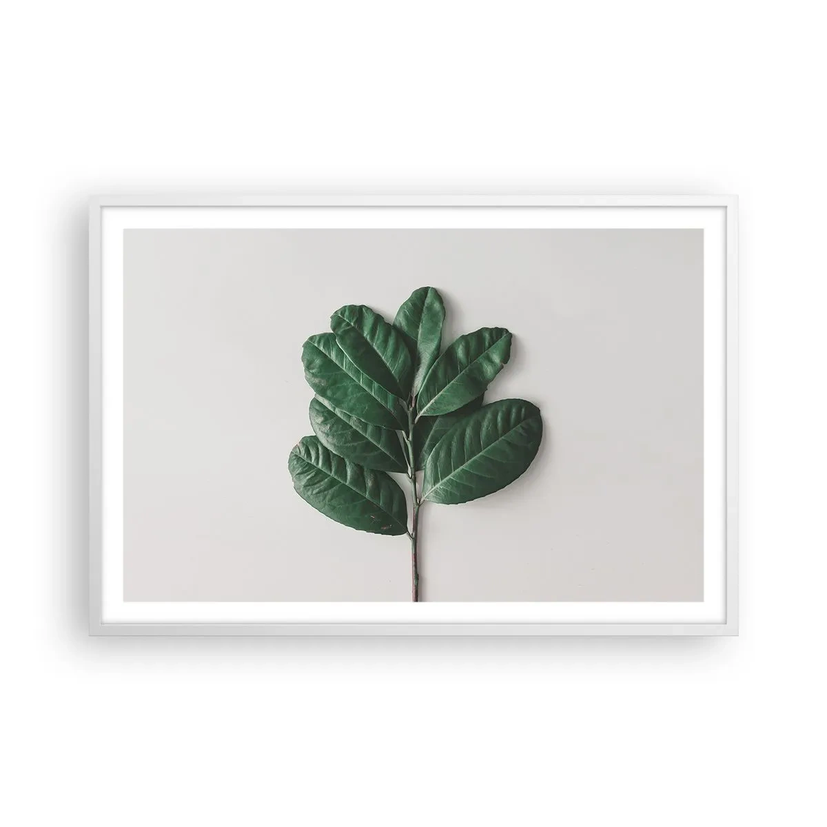 Plakat i hvid ramme - Tegning af selve naturen - 91x61 cm