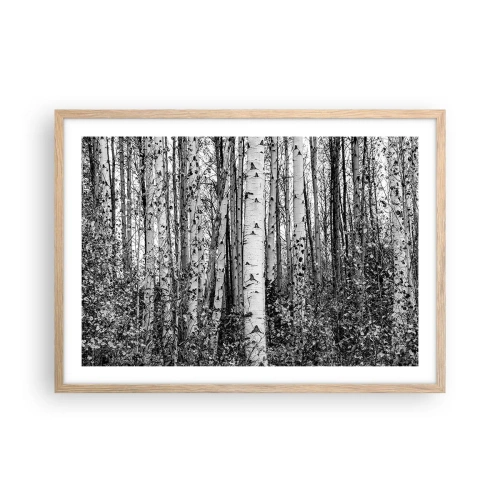 Plakat i ramme af lyst egetræ - Kolonnade af birk - 70x50 cm
