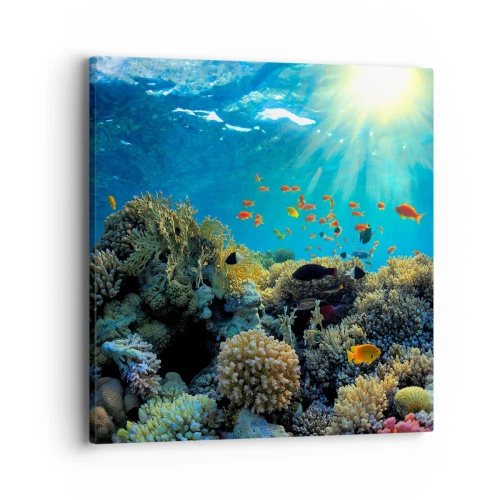 Lærredstryk - Billede på lærred - Undervandsskatte - 40x40 cm