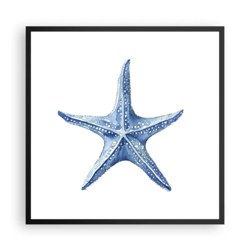 Plakat i sort ramme - Havets stjerne - 60x60 cm