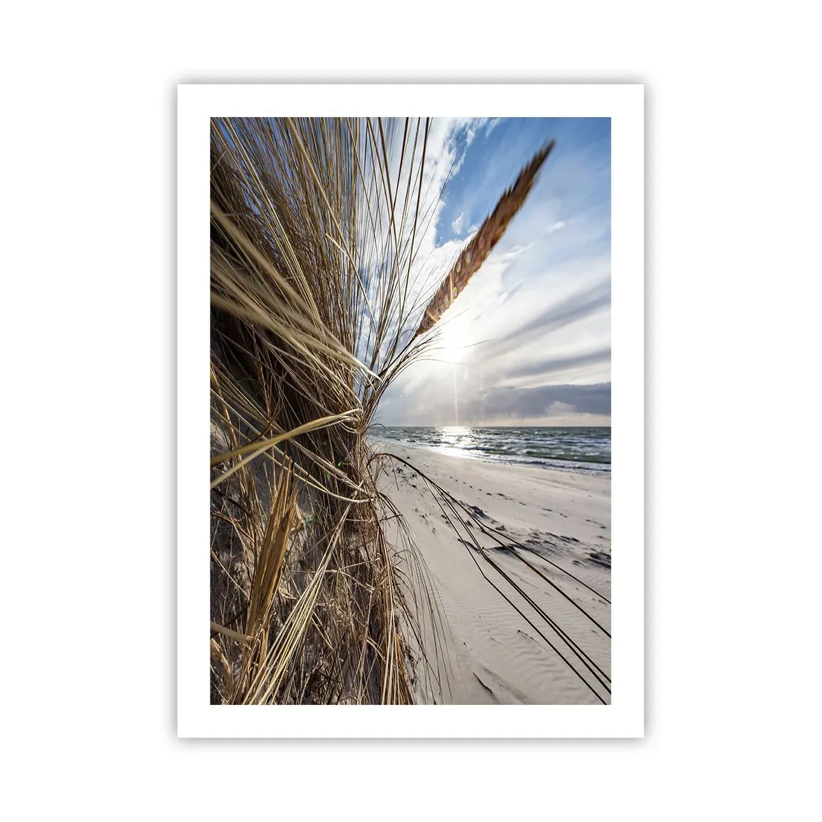 Plakat - Et møde mellem elementerne - 50x70 cm