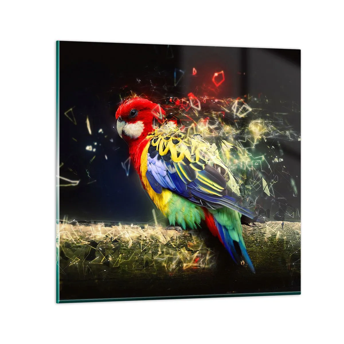 Billede på glas - Budbringeren af udstråling - 40x40 cm