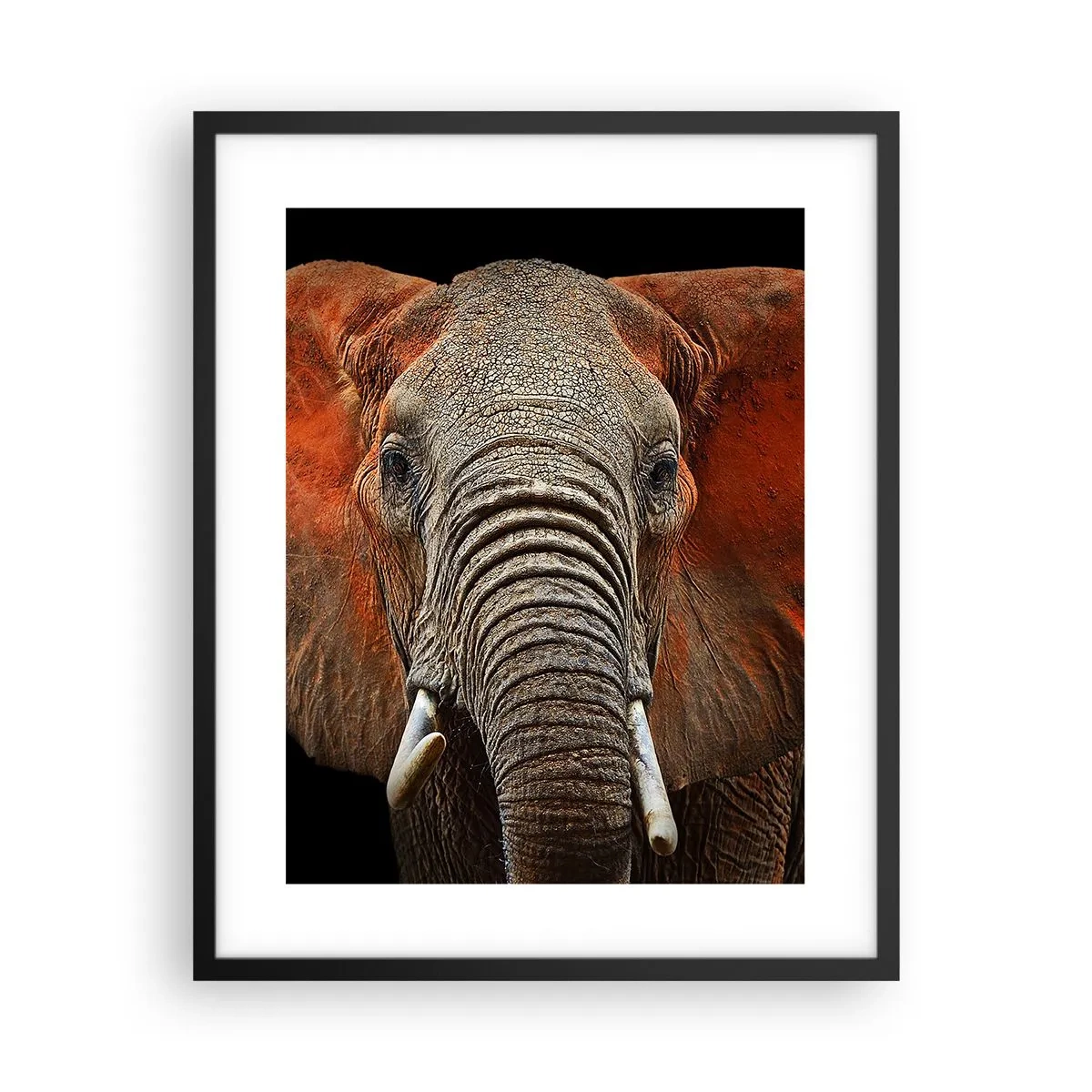 Plakat i sort ramme - Jeg er vild, er du? - 40x50 cm