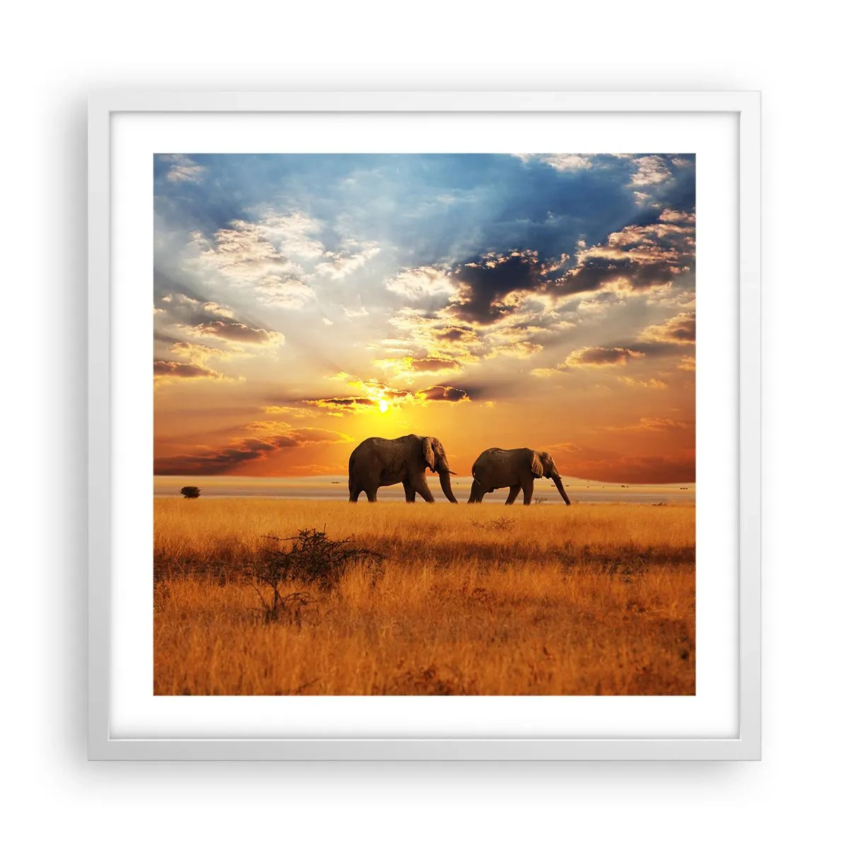 Plakat i hvid ramme - Familievandring - 50x50 cm