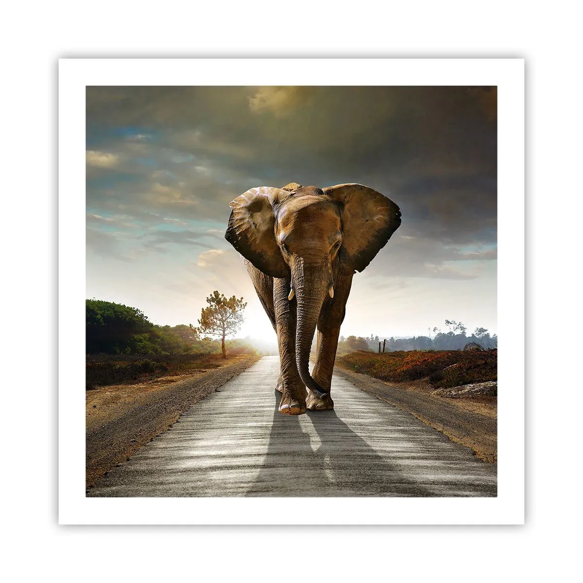 Plakat - Og slet ikke i en porcelænsbutik - 60x60 cm