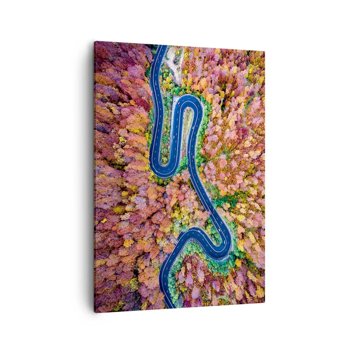 Lærredstryk - Billede på lærred - En snoet vej gennem skoven - 50x70 cm