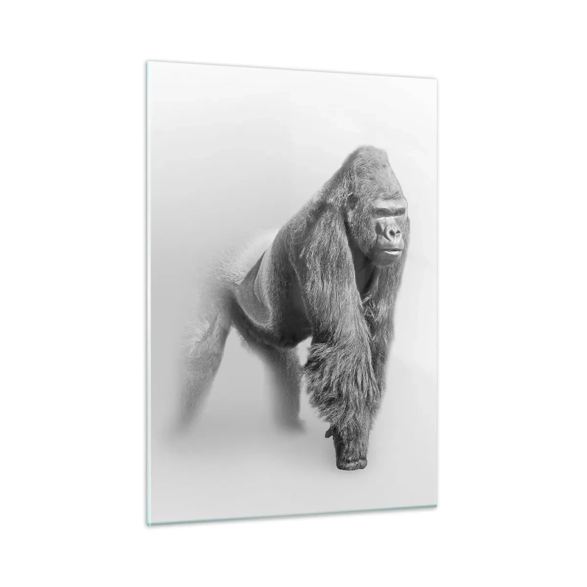 Billede på glas - Selvsikker på sin styrke - 50x70 cm