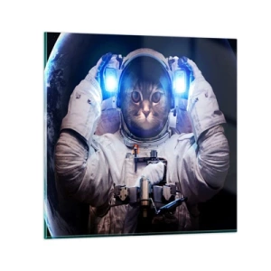 Billede på glas - Houston, I har et problem - 50x50 cm