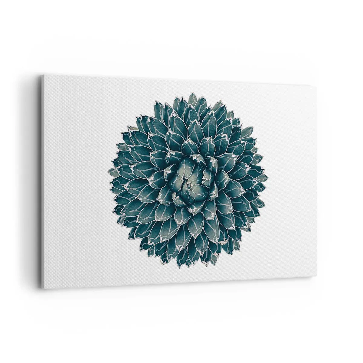 Lærredstryk - Billede på lærred - Ørkenstjerne - 120x80 cm